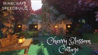 Cherry Blossom Cottage - Relaxing Aesthetic Minecraft Speed Build