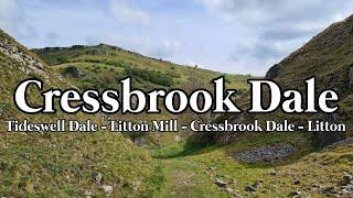 A Delightful Walk in the Derbyshire Dales | English Countryside asmr