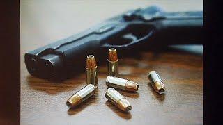 Public Health and Injury Prevention: Gun Violence and Traffic Deaths