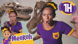 Meekah Visits the Natural History Museum!! | 1 HOUR OF MEEKAH! | Educational Videos for Kids