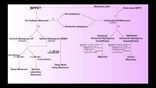 BPPV Treatment | Deep Head Hang Maneuver [Why, When, & How]