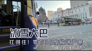 【凸峰運轉】零下36度都能正常起動、歡快奔跑的大巴——哈爾濱「冰雪大巴」