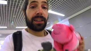 Airport Theft: The Stolen Pig