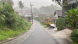 Heavy Rain and Winds in the Countryside | Relaxing & Cozy atmosphere for Sleep.