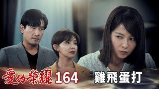 愛的榮耀 EP164 雞飛蛋打｜Glory of Love