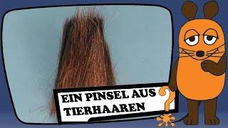 Ein Pinsel aus Tierhaaren