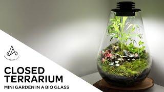 How to make an easy mini terrarium moss garden in a closed tear drop Biolark Bio Glass Bottle