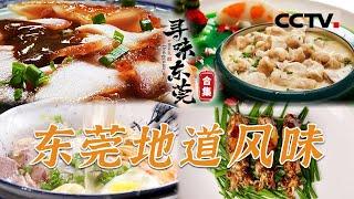 带你“吃透”东莞美食 “寻味”你所不知道的东莞！让世界看到东莞美味 解锁东莞这座“世界工厂”的美味地图【CCTV纪录】