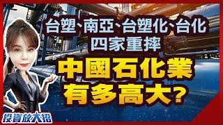 【大招 2】台塑、南亞、台塑化、台化四家重摔！中國石化業，有多高大？