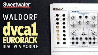 Waldorf dvca1 Eurorack Dual VCA Module Demo at Knobcon 2018