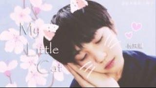 [TF家族練習生] 【黃其淋】My Little Cat （飯制）1080P 【TF家族黃其淋YouTube頻道】