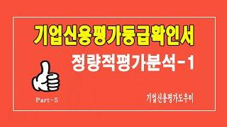 기업신용평가등급확인서의 재무제표에 의한 정량적평가 분석 / 여러분의 궁금증을 해결하여 드립니다.