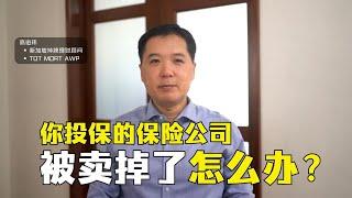 你投保的保险公司被卖掉了怎么办？| 俊玮谈新