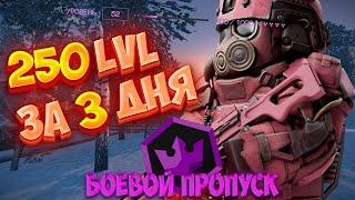 250 LvL За 3 ДНЯ! Быстрый Фарм Боевого Пропуска в STALCRAFT X