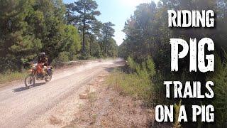 Riding Pig Trails on a Pig! Getting Muddy, Getting Stuck, Having Fun #HondaXR #XR650l #xr