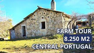 RESERVED | Farm in Central Portugal | 8,250m² Rustic Retreat Wells, Fruit Trees & Stunning Views!