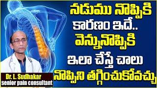 నడుము నొప్పి..| Causes of Back Pain in Telugu | Lower Back Pain Reasons | Dr. L Sudhakar | SumanTV