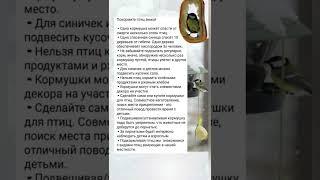 Спасите