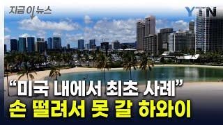 역대급 '세금' 결단…살 떨리는 하와이 여행 물가 예고 [지금이뉴스] / YTN