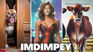 Best IMDIMPEY TikTok Skits of 2024 | Try Not To Laugh Watching ImDimpey