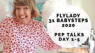 Flylady 31 Babysteps for Beginners! 2020 Instagram series (Days 1-5)