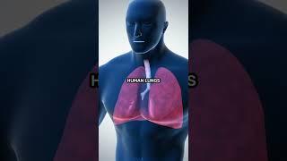 Random #Human #Facts 