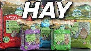 Basics about HAY for Rabbits? | Timothy | Alfalfa | Orchard | Oat | Botanical | baby bunny