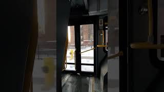 Winters in Toronto #shorts | Winters of Canada | Himalayan Gypsy