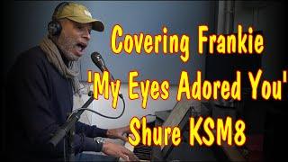 Cover - My Eyes Adored You - Frankie Valli