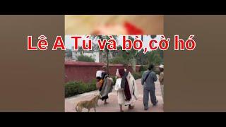 297.  Lê A Tú và câu chuyện con ò .