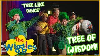 The Tree of Wisdom Live Dance Compilation - The Wiggles - 2024