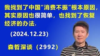 我找到了 中国“消费不振”的根本原因，其实原因也 很简单，也找到了“恢复经济”的办法. (2024.12.23) 《森哲深谈》