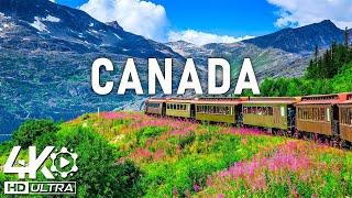 Wonders of Canada  The Most Fascinating Places on CanadaTravel Video 4K