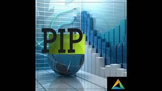 What is a PIP in trading?