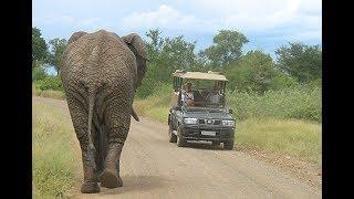 Difference between the Kruger Park and Private Reserves