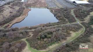 Bidston Moss Jan 2021