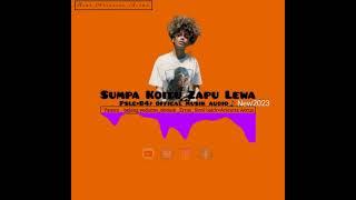 Pslg×Remintas B4j Offical musik audio supa ko tu za pu lewa️