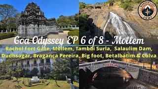 Goa Odyssey EP 6 of 8 | From Wildlife Sanctuaries to Sunset Beaches | Mollem | Dudhsagar | Goa | 4K