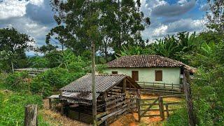 VENDE-SE sítio de 37 hectares com casa centenária muita água + gado MG