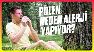 Alerji: Neden Hâlâ Alerjiler Var ve Neden Giderek Kötüleşiyorlar?