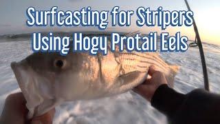 Fall Run Surfcasting for Stripers using Hogy Protail Eels Long Island NY