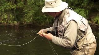 Match the Hatch Dry Fly