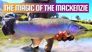 Fly Fishing New Zealand in the Mackenzie Basin