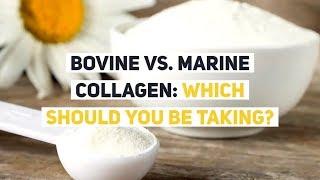 Bovine vs. Marine Collagen: Which Should YOU be Taking?