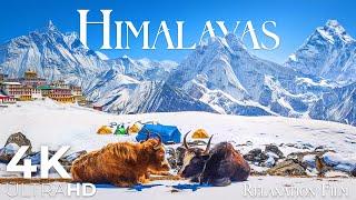 Himalaya 4K Ultra HD | The Roof of the World - Horizon View from Everest by Relaxation Film