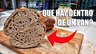 ¿Qué hay dentro de un pan? La ciencia detrás del pan