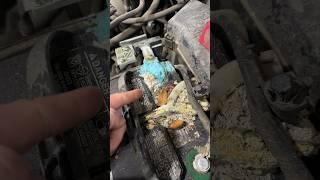 Did I win this argument? Corroded battery terminal should be replaced.