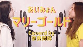 【姉妹で歌う】マリーゴールド/あいみょん Coverd by奈良姉妹　フル歌詞付き