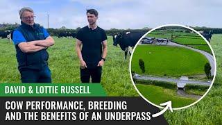 David & Lottie Russell on Cow Performance, Breeding, and the Benefits of an Underpass