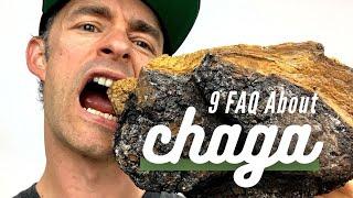 9 Things You Didn't Know About Chaga